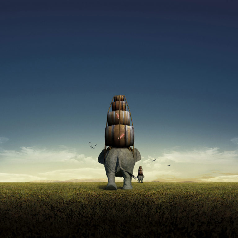 AEROPORT SAINT EXUPERY