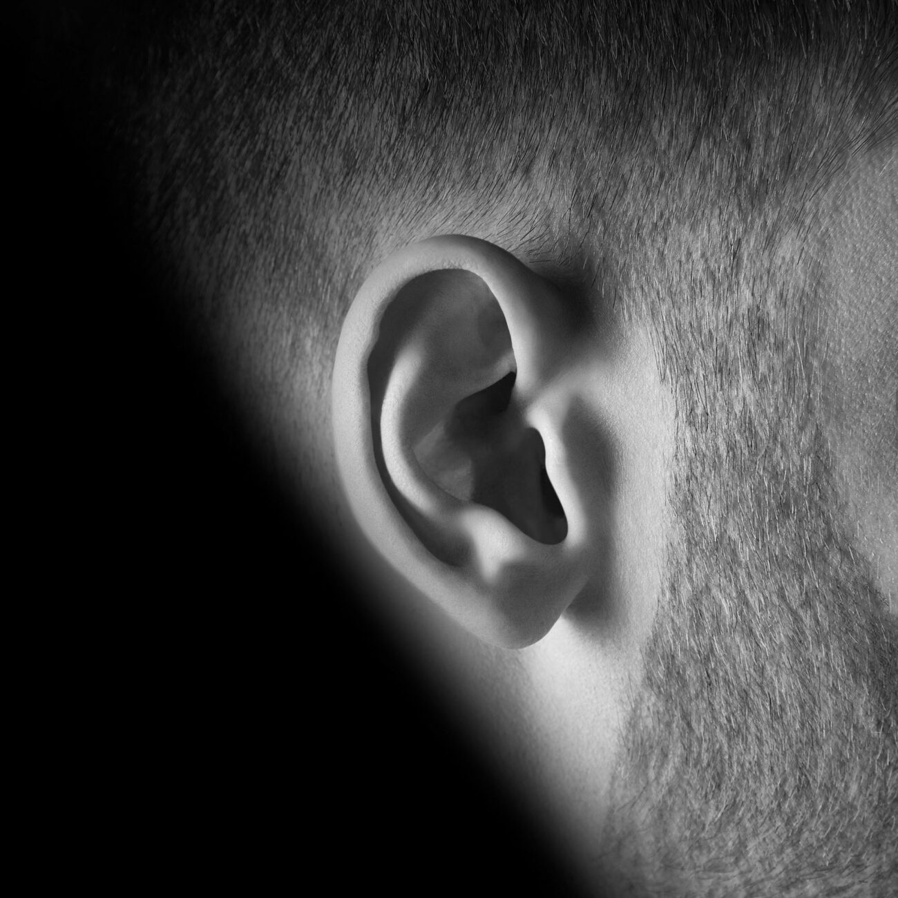 ROWENTA & KARL LAGERFELD